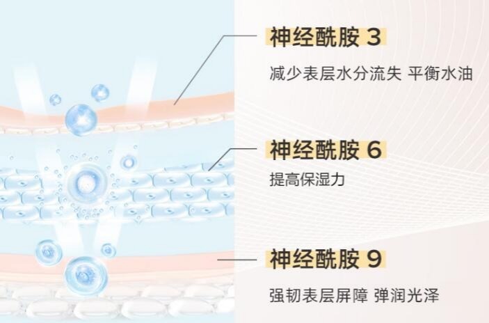 皮肤干燥起皮过敏？你还差宝拉珍选玻尿酸保湿精华！的第4张示图