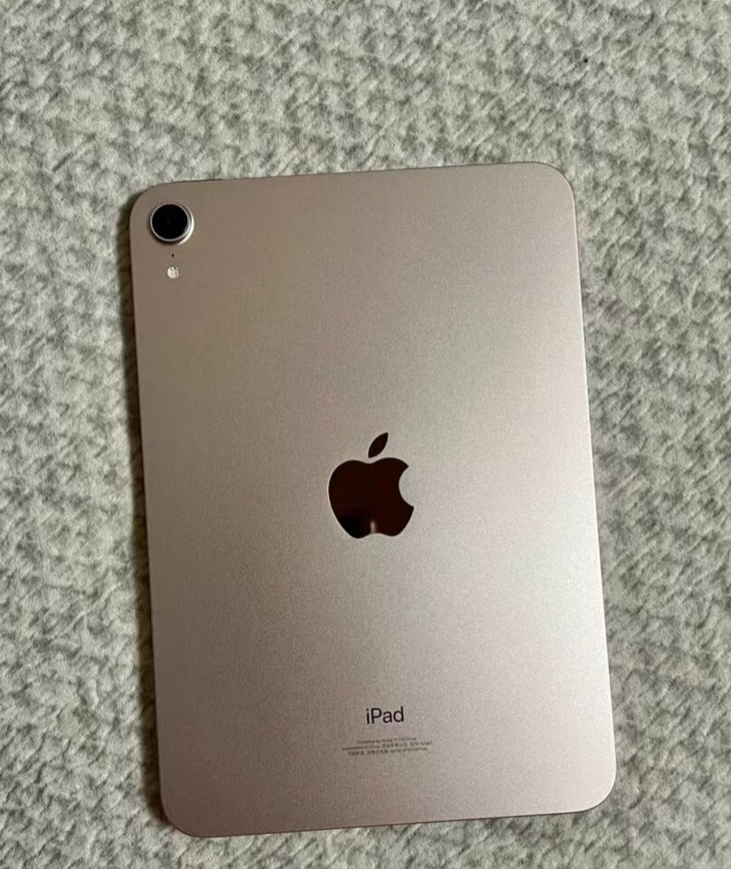 苹果ipad8.3英寸简评：小巧的机身，拥有强大的性能的第3张示图